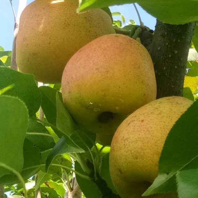 宁蒗县电子商务公共服务中心 聚焦高原特色优质农产品，发布供求信息与商务咨询服务