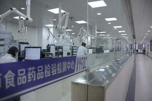 青软青之中标咸阳市食品药品检验检测中心LIMS系统咨询服务项目